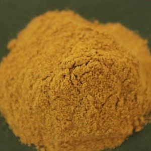 Anacyclus pyrethrum (Akarkara) dry extract powder