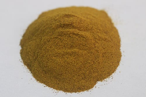 Berberis aristata (Daruhaldi) dry extract powder