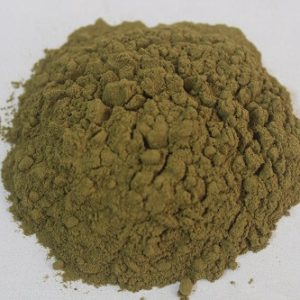 Gymnema sylvestre (Gudmar) leaf raw botanical material