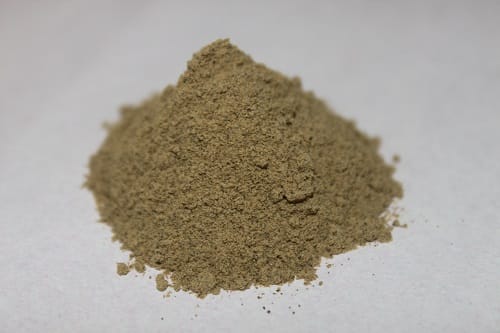 Andrographis paniculata (Kalmegh) dry extract powder