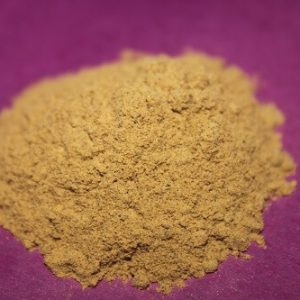 Solanum xanthocarpum (Kantakari) dry extract powder