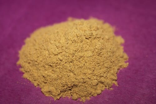 Solanum xanthocarpum (Kantakari) dry extract powder