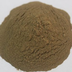 Piper longum (Pippali) raw botanical material