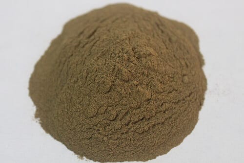 Piper longum (Pippali) raw botanical material