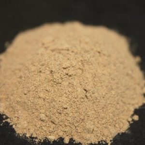Ficus lacor (Plaksha) dry extract powder