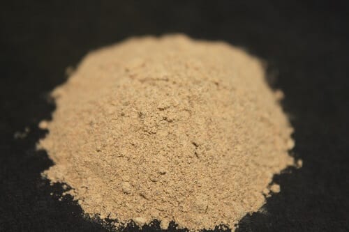 Ficus lacor (Plaksha) dry extract powder