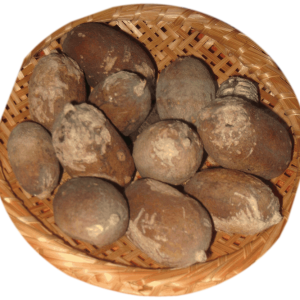 Dried fruits of Catunaregam spinosa (Mainphal), formerly Randia dumetorum, in a woven basket.