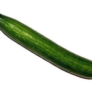 A whole cucumber, Cucumis sativus.