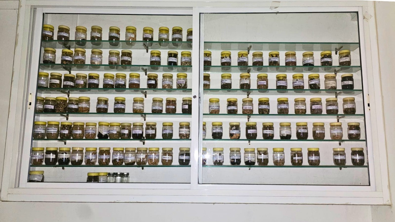 A glass cabinet holding rows of labelled jars of raw botanical specimens