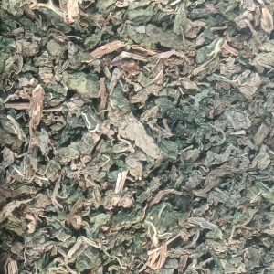 Dried peppermint leaf, Mentha piperita, the raw material for this extract.
