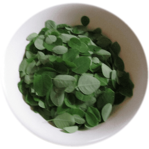 Freshly picked Moringa oleifera (Sahajan) leaves in a white bowl.