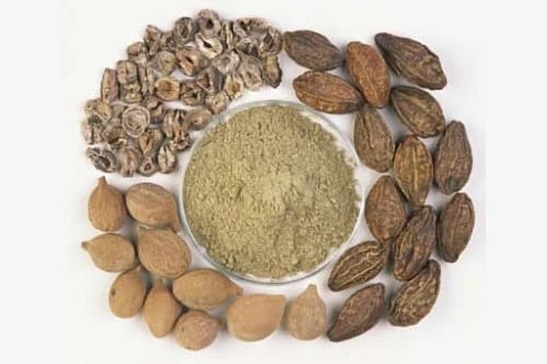 Triphala raw botanical material