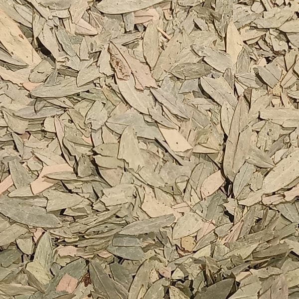 Dried senna leaf, Senna alexandrina, the raw material for this extract.
